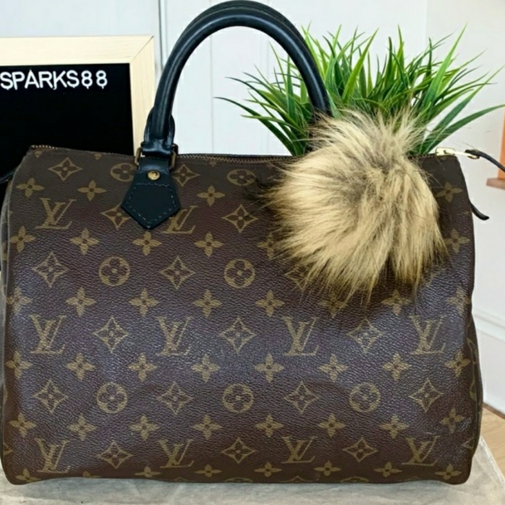 Louis Vuitton speedy 30